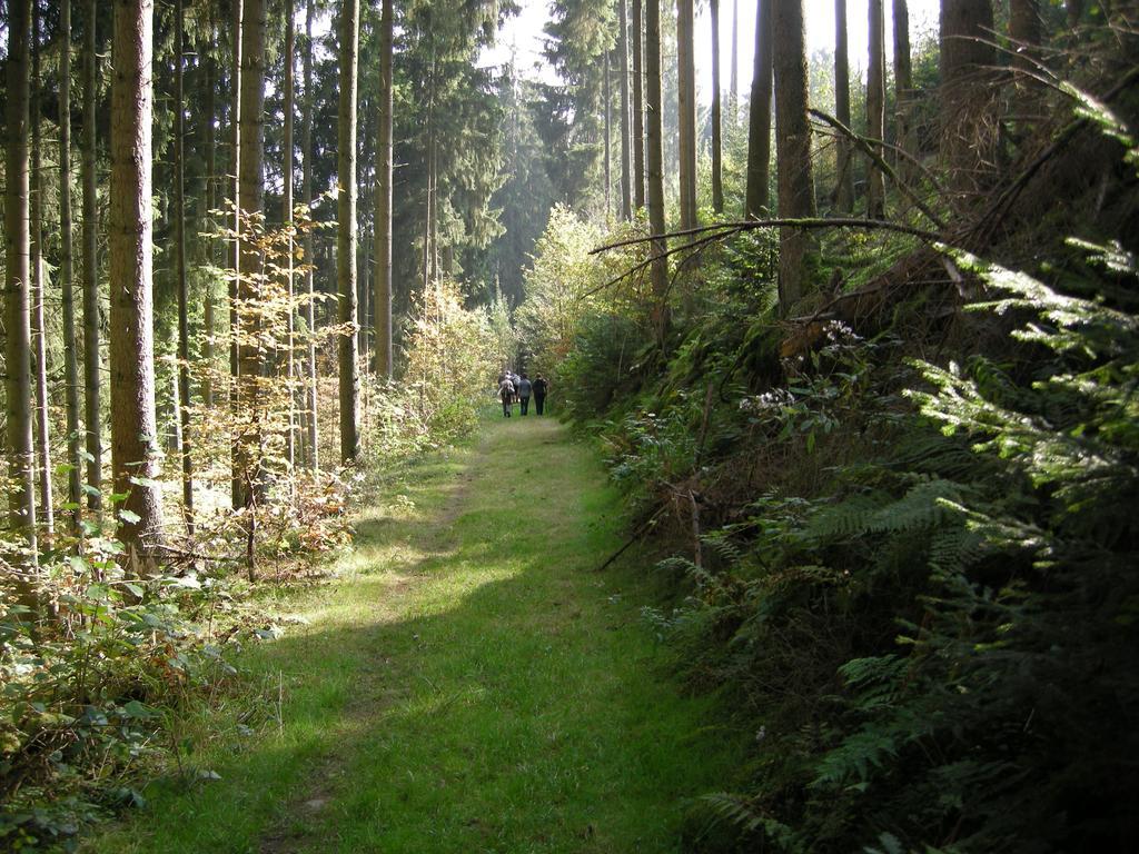 Gasthaus-Pension Islekhohe Gansen Krautscheid Luaran gambar